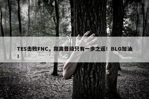 TES击败FNC，距离晋级只有一步之遥！BLG加油！