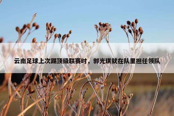 云南足球上次踢顶级联赛时，郭光琪就在队里担任领队