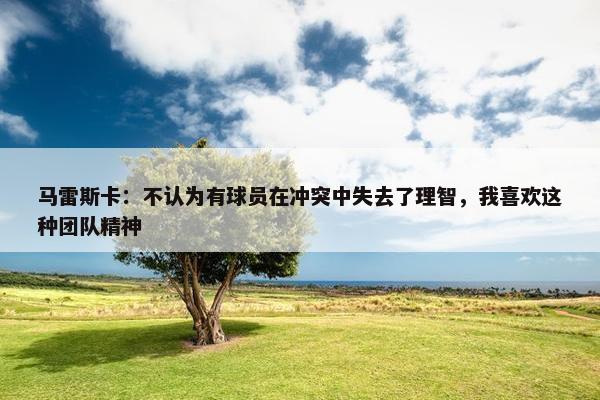 马雷斯卡：不认为有球员在冲突中失去了理智，我喜欢这种团队精神