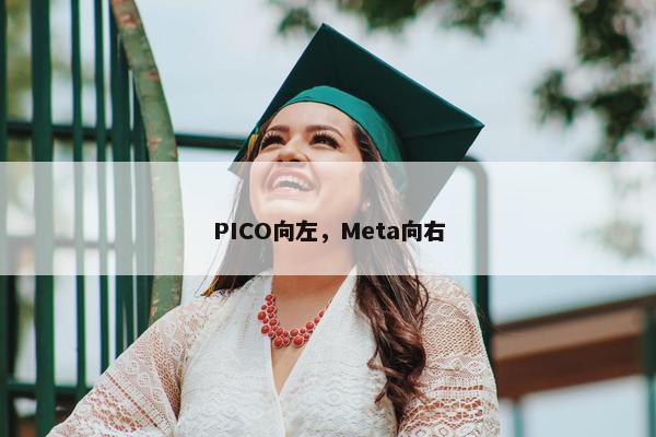 PICO向左，Meta向右