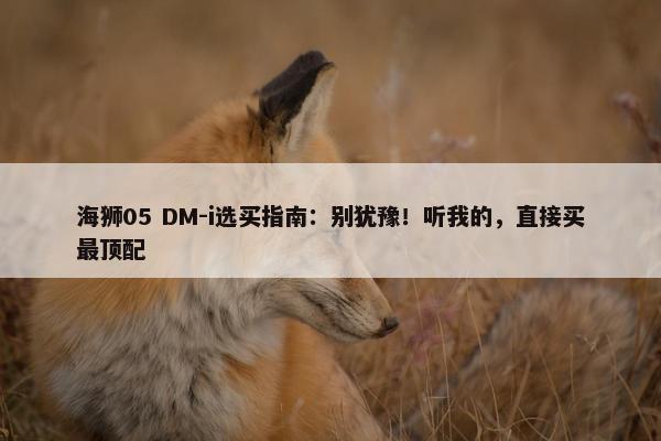 海狮05 DM-i选买指南：别犹豫！听我的，直接买最顶配