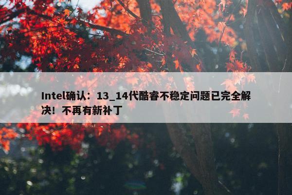 Intel确认：13_14代酷睿不稳定问题已完全解决！不再有新补丁