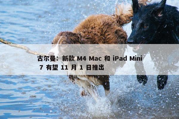 古尔曼：新款 M4 Mac 和 iPad Mini 7 有望 11 月 1 日推出