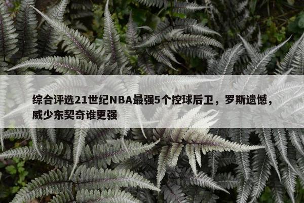 综合评选21世纪NBA最强5个控球后卫，罗斯遗憾，威少东契奇谁更强