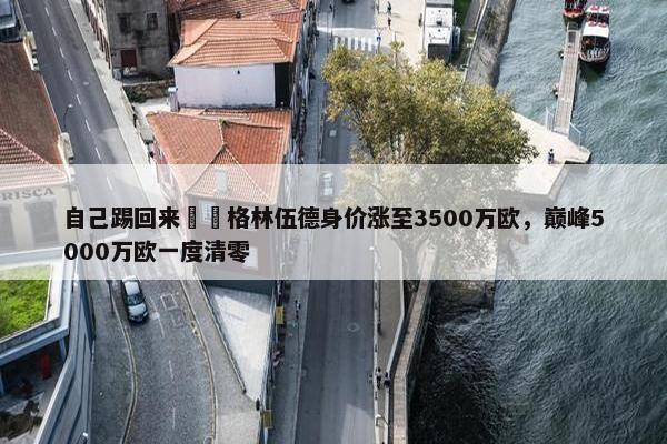 自己踢回来❗️格林伍德身价涨至3500万欧，巅峰5000万欧一度清零