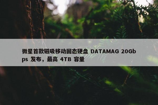 微星首款磁吸移动固态硬盘 DATAMAG 20Gbps 发布，最高 4TB 容量