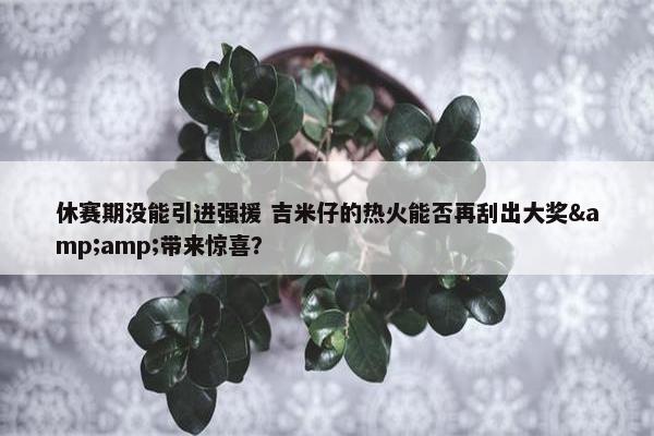 休赛期没能引进强援 吉米仔的热火能否再刮出大奖&amp;带来惊喜？