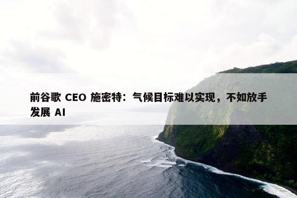 前谷歌 CEO 施密特：气候目标难以实现，不如放手发展 AI