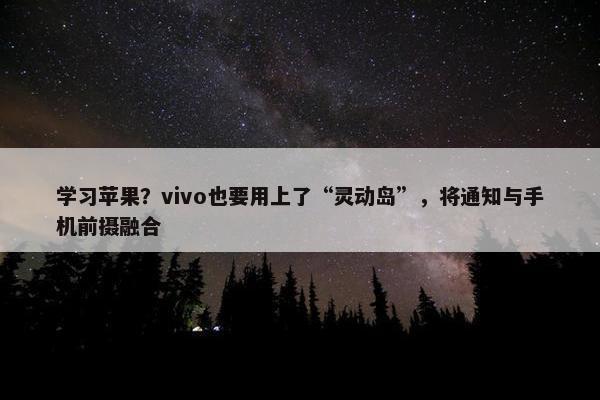 学习苹果？vivo也要用上了“灵动岛”，将通知与手机前摄融合