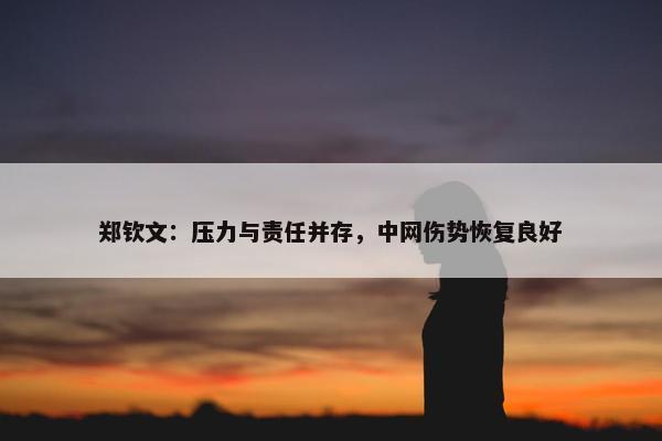 郑钦文：压力与责任并存，中网伤势恢复良好