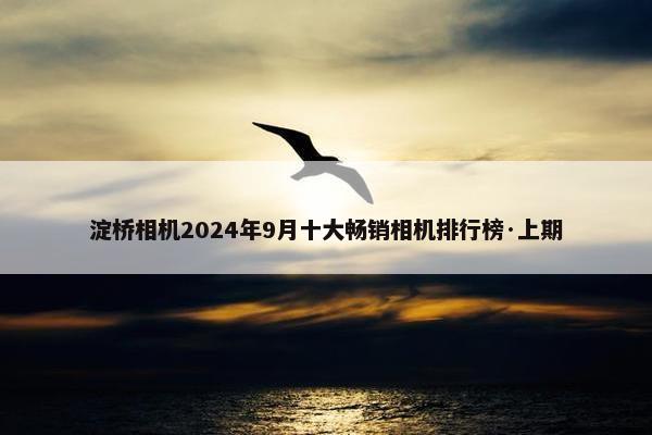 淀桥相机2024年9月十大畅销相机排行榜·上期