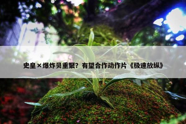 史皇×爆炸贝重聚？有望合作动作片《极速放纵》