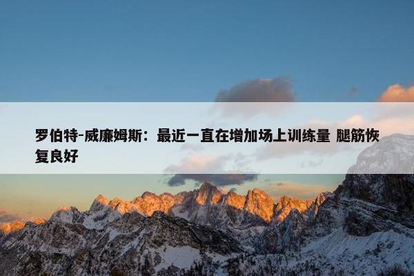 罗伯特-威廉姆斯：最近一直在增加场上训练量 腿筋恢复良好