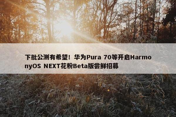 下批公测有希望！华为Pura 70等开启HarmonyOS NEXT花粉Beta版尝鲜招募