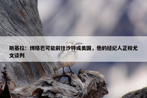 斯基拉：博格巴可能前往沙特或美国，他的经纪人正和尤文谈判