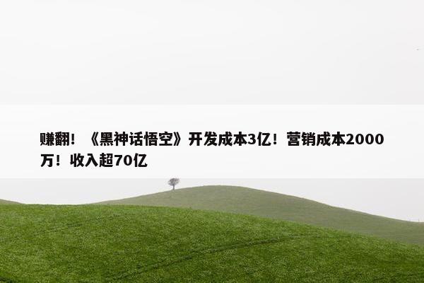 赚翻！《黑神话悟空》开发成本3亿！营销成本2000万！收入超70亿