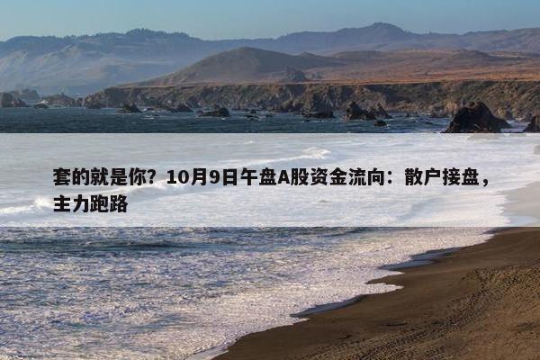 套的就是你？10月9日午盘A股资金流向：散户接盘，主力跑路