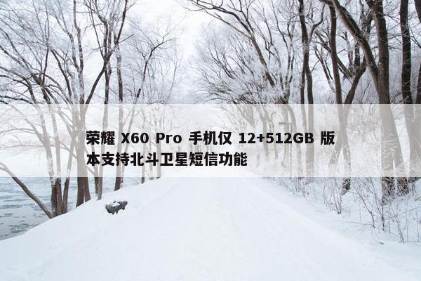 荣耀 X60 Pro 手机仅 12+512GB 版本支持北斗卫星短信功能