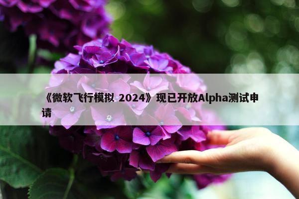 《微软飞行模拟 2024》现已开放Alpha测试申请