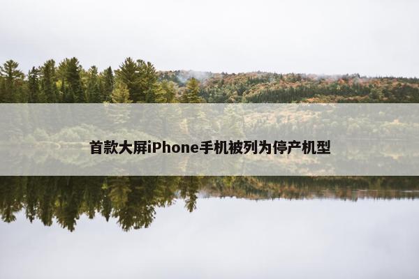 首款大屏iPhone手机被列为停产机型