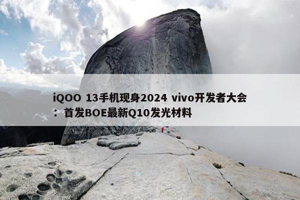 iQOO 13手机现身2024 vivo开发者大会：首发BOE最新Q10发光材料