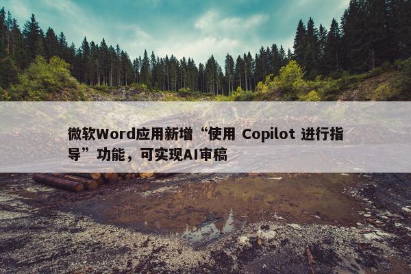 微软Word应用新增“使用 Copilot 进行指导”功能，可实现AI审稿