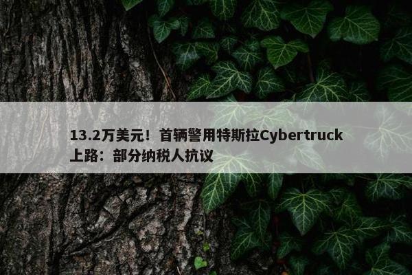 13.2万美元！首辆警用特斯拉Cybertruck上路：部分纳税人抗议