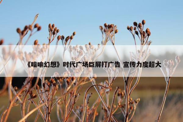 《暗喻幻想》时代广场巨屏打广告 宣传力度超大