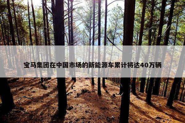 宝马集团在中国市场的新能源车累计将达40万辆