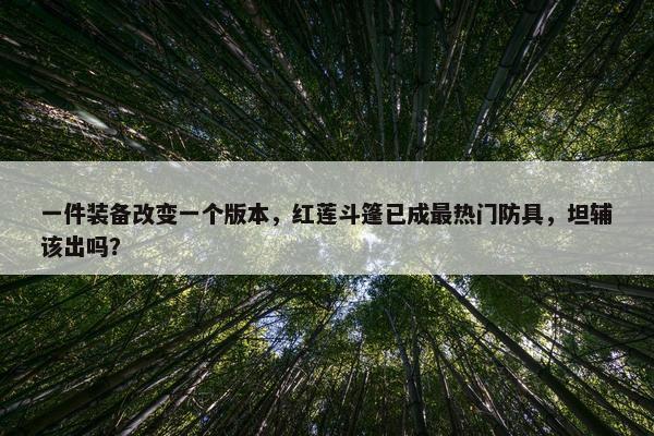 一件装备改变一个版本，红莲斗篷已成最热门防具，坦辅该出吗？