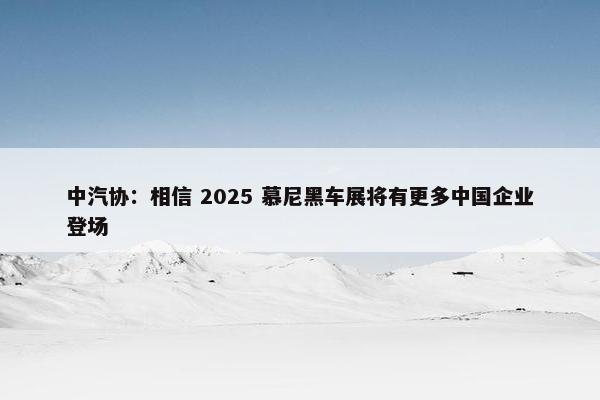 中汽协：相信 2025 慕尼黑车展将有更多中国企业登场