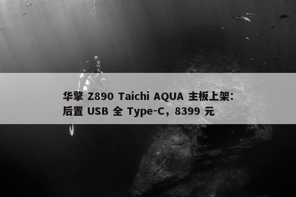 华擎 Z890 Taichi AQUA 主板上架：后置 USB 全 Type-C，8399 元