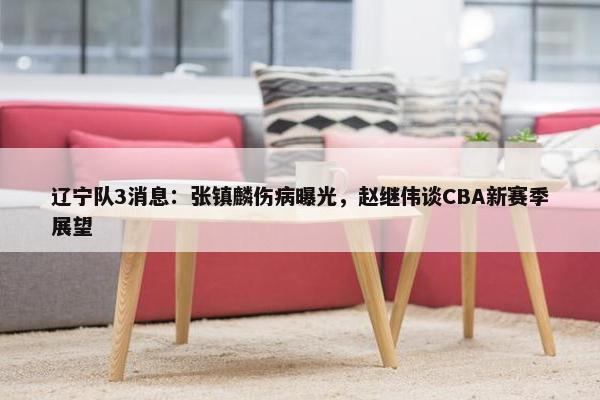 辽宁队3消息：张镇麟伤病曝光，赵继伟谈CBA新赛季展望