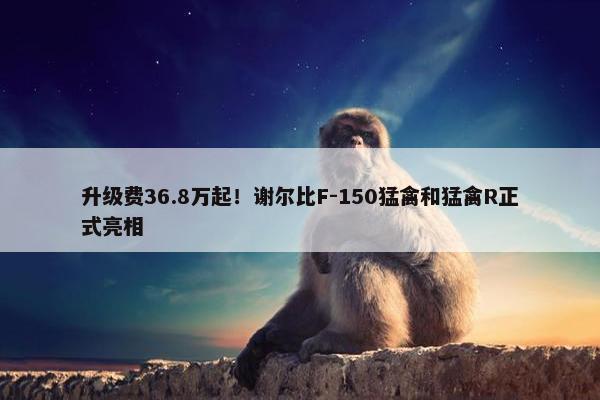 升级费36.8万起！谢尔比F-150猛禽和猛禽R正式亮相