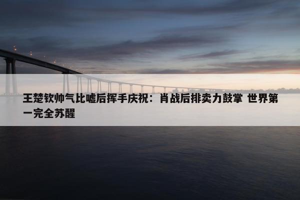 王楚钦帅气比嘘后挥手庆祝：肖战后排卖力鼓掌 世界第一完全苏醒