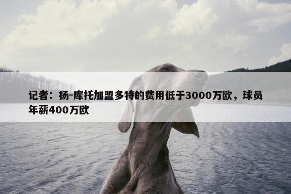 记者：扬-库托加盟多特的费用低于3000万欧，球员年薪400万欧