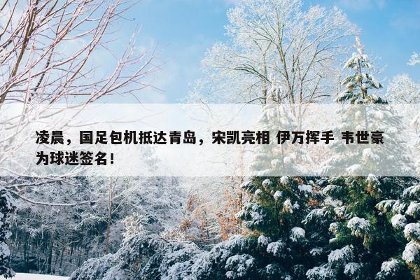 凌晨，国足包机抵达青岛，宋凯亮相 伊万挥手 韦世豪为球迷签名！