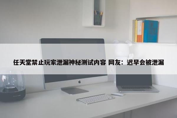 任天堂禁止玩家泄漏神秘测试内容 网友：迟早会被泄漏