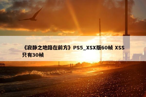 《寂静之地路在前方》PS5_XSX版60帧 XSS只有30帧