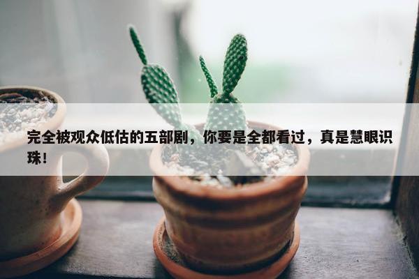 完全被观众低估的五部剧，你要是全都看过，真是慧眼识珠！