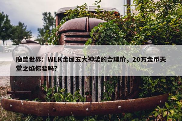 魔兽世界：WLK金团五大神装的合理价，20万金币天堂之焰你要吗？