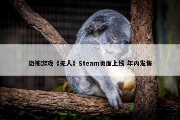 恐怖游戏《无人》Steam页面上线 年内发售