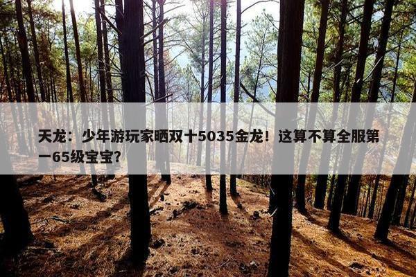 天龙：少年游玩家晒双十5035金龙！这算不算全服第一65级宝宝？