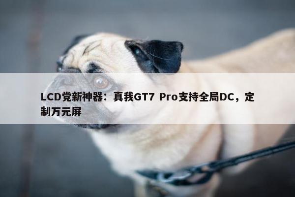 LCD党新神器：真我GT7 Pro支持全局DC，定制万元屏