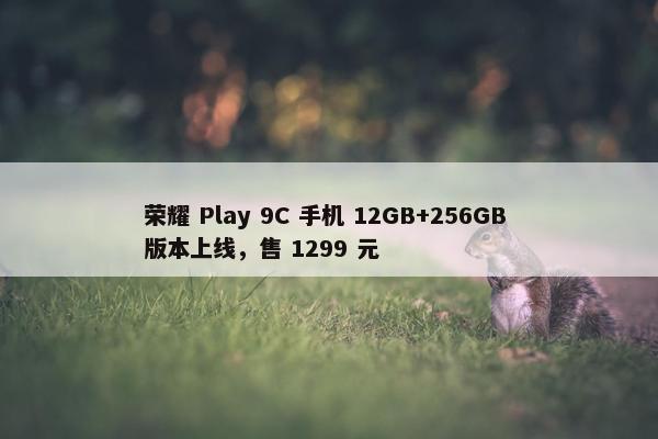 荣耀 Play 9C 手机 12GB+256GB 版本上线，售 1299 元