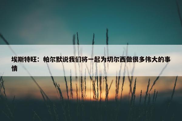 埃斯特旺：帕尔默说我们将一起为切尔西做很多伟大的事情