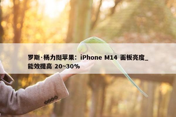 罗斯·杨力挺苹果：iPhone M14 面板亮度_能效提高 20~30%