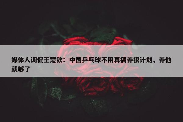 媒体人调侃王楚钦：中国乒乓球不用再搞养狼计划，养他就够了