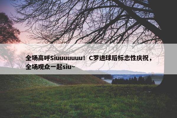 全场高呼Siuuuuuuu！C罗进球后标志性庆祝，全场观众一起siu~