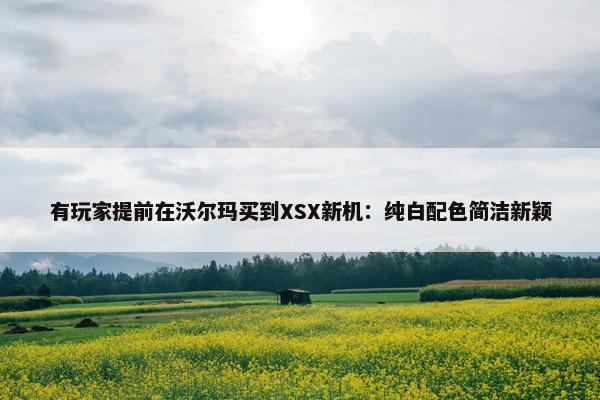 有玩家提前在沃尔玛买到XSX新机：纯白配色简洁新颖